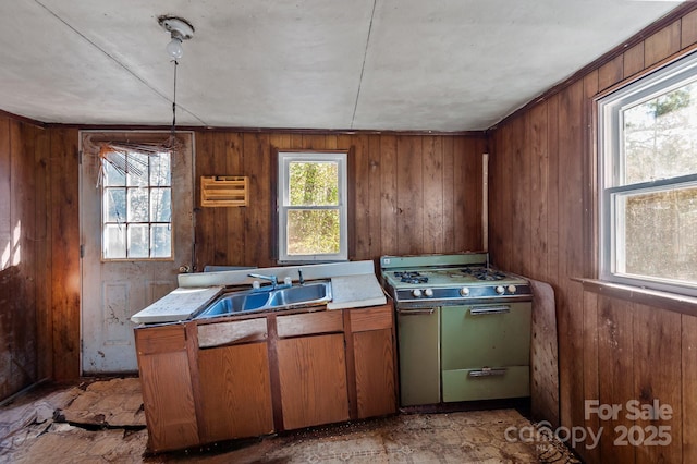 kitchen with wooden walls, a sink, and gas stove