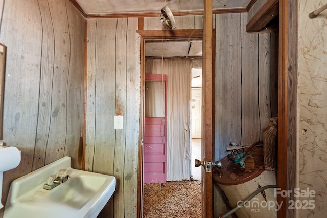 bathroom featuring wooden walls and a sink