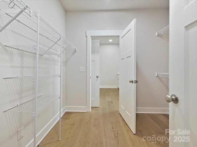 spacious closet featuring light wood-type flooring