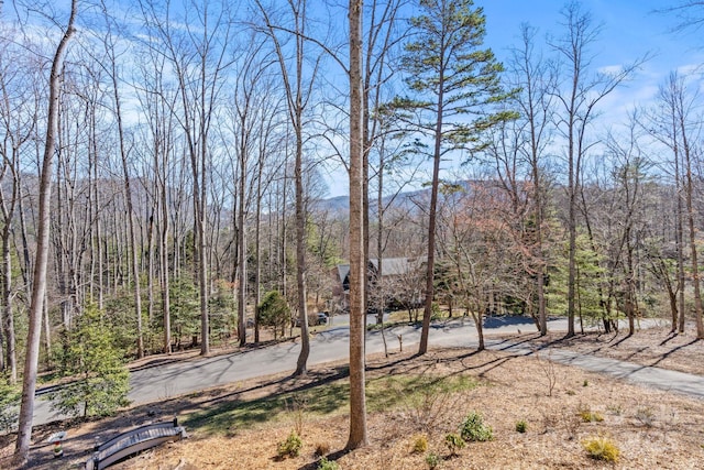 view of yard featuring driveway and a view of trees