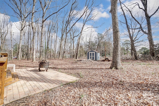 view of yard with a patio area, a storage unit, and an outdoor structure