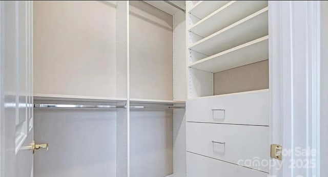 view of spacious closet