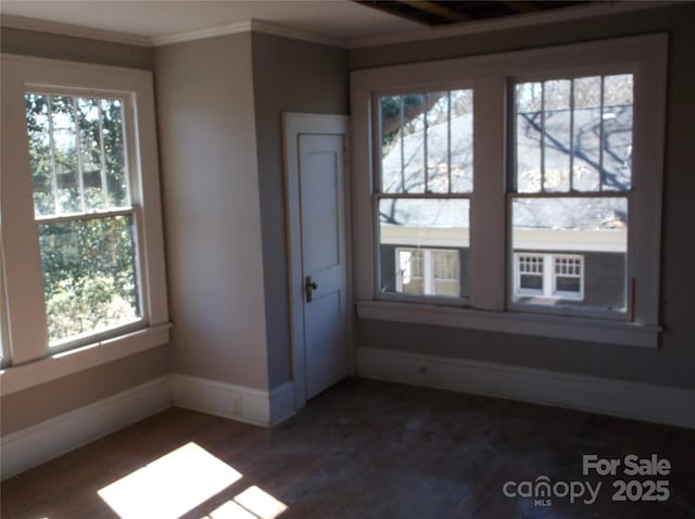 interior space with baseboards, dark wood-style flooring, a wealth of natural light, and crown molding