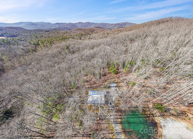 aerial view featuring a mountain view and a wooded view