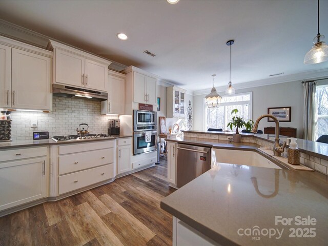 kitchen featuring visible vents, appliances with stainless steel finishes, ornamental molding, under cabinet range hood, and a sink