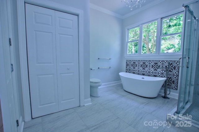 bathroom featuring a soaking tub, plenty of natural light, ornamental molding, and a stall shower