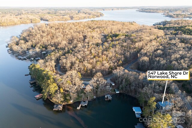 drone / aerial view featuring a water view and a view of trees