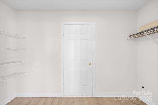 spacious closet with light wood-type flooring