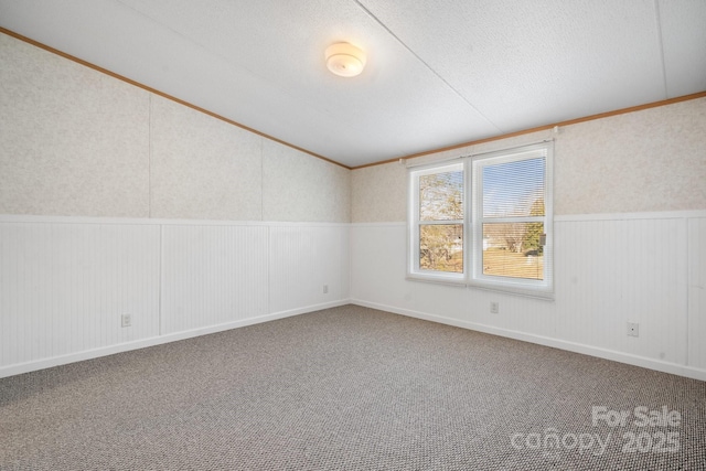 carpeted spare room with a wainscoted wall and a textured ceiling