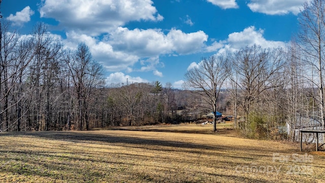 view of yard featuring a wooded view