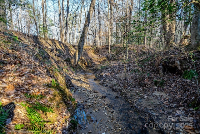 view of nature featuring a wooded view