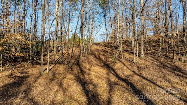 view of local wilderness