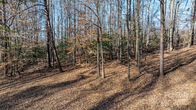 view of nature with a wooded view