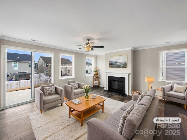 living area featuring wood finished floors, visible vents, a ceiling fan, ornamental molding, and a glass covered fireplace