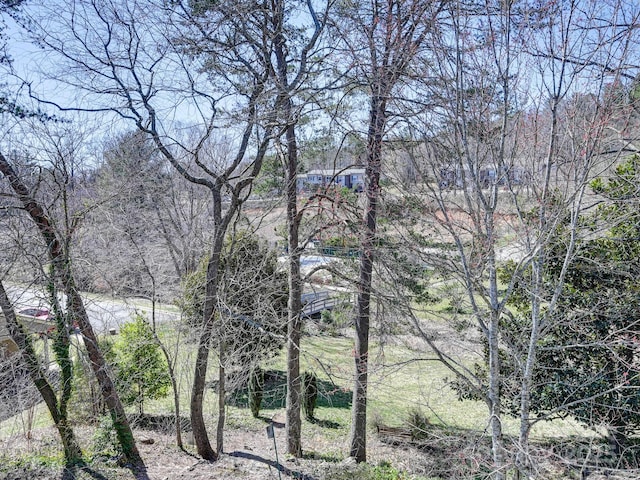 34 Larkspur Ct, Asheville, NC 28805 - photo 44