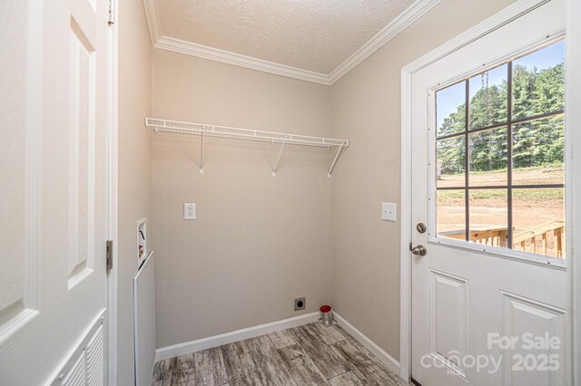 washroom featuring crown molding, electric dryer hookup, a textured ceiling, wood finished floors, and laundry area