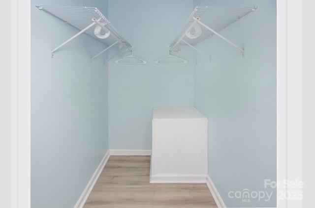 walk in closet with light wood-type flooring