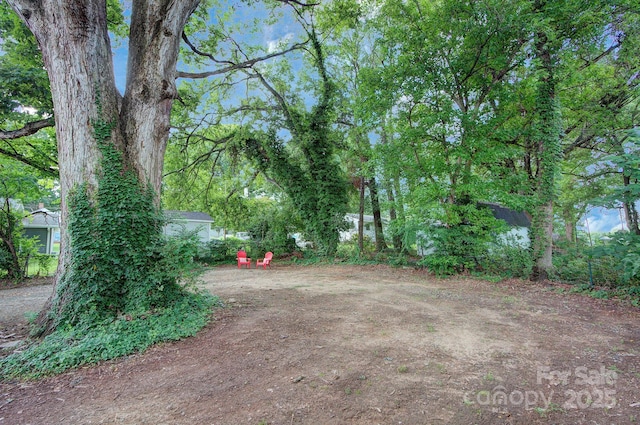 view of yard featuring dirt driveway