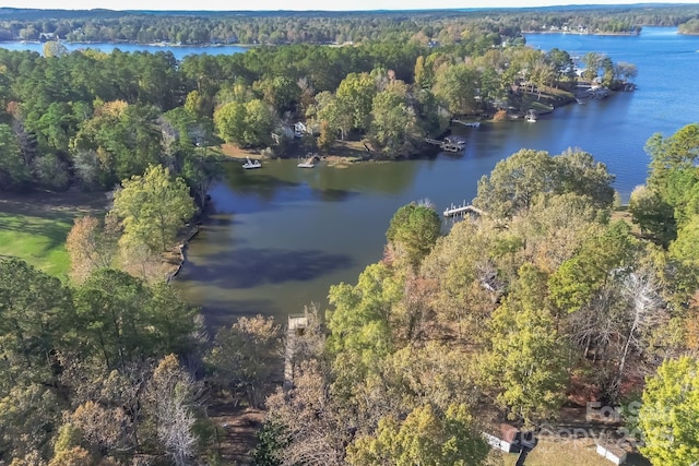 birds eye view of property featuring a water view and a wooded view