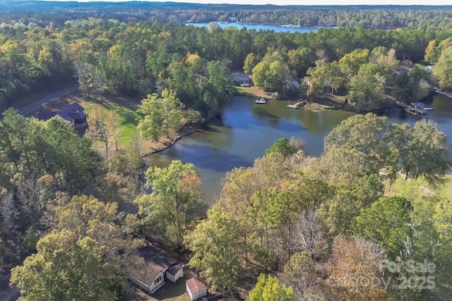 bird's eye view featuring a water view and a wooded view