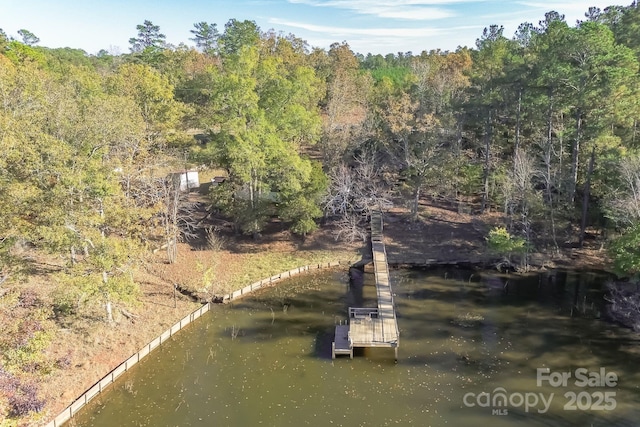 bird's eye view with a water view and a forest view