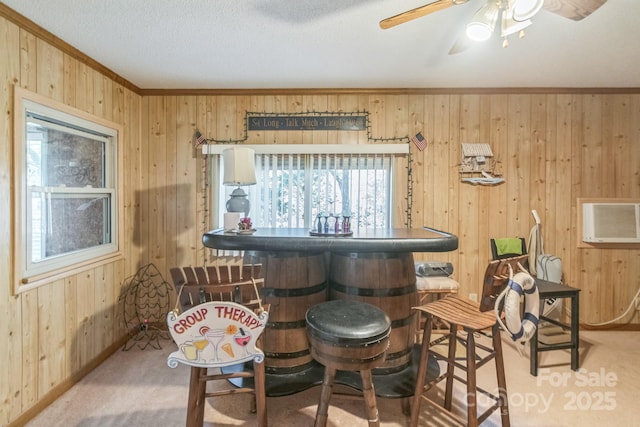 bar featuring a dry bar, wood walls, carpet, and ornamental molding