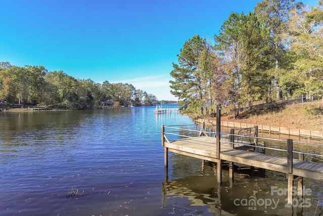 dock area with a water view