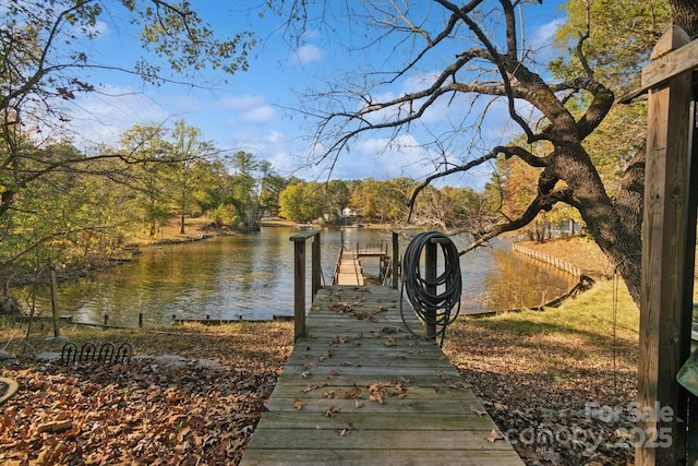 dock area with a water view