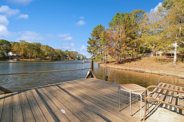 dock area with a water view