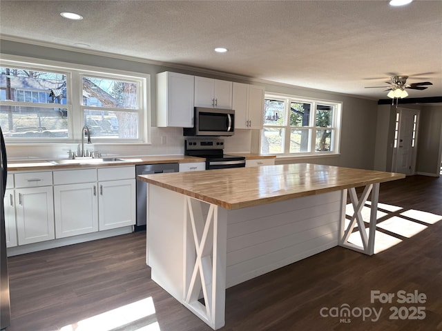 kitchen featuring a sink, dark wood finished floors, stainless steel appliances, and wooden counters