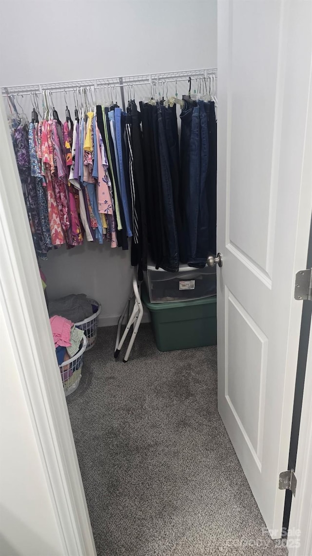 walk in closet featuring carpet