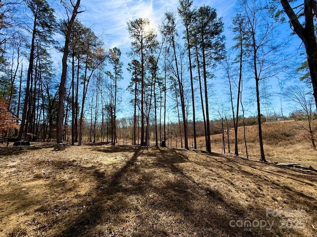 view of local wilderness