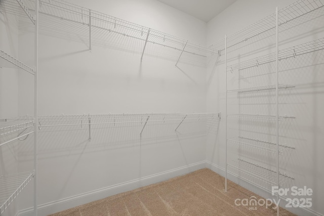 spacious closet featuring light colored carpet