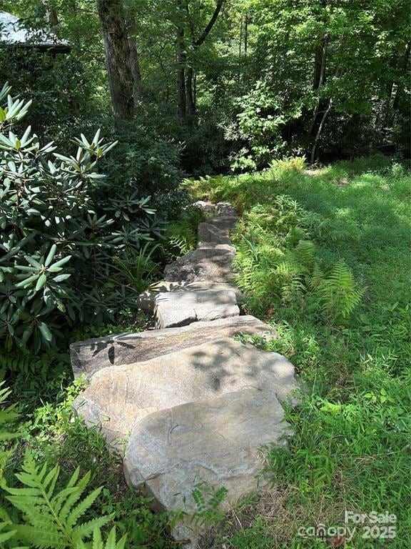 448 Mt Mitchell Dr, Burnsville, NC 28714 - exterior space