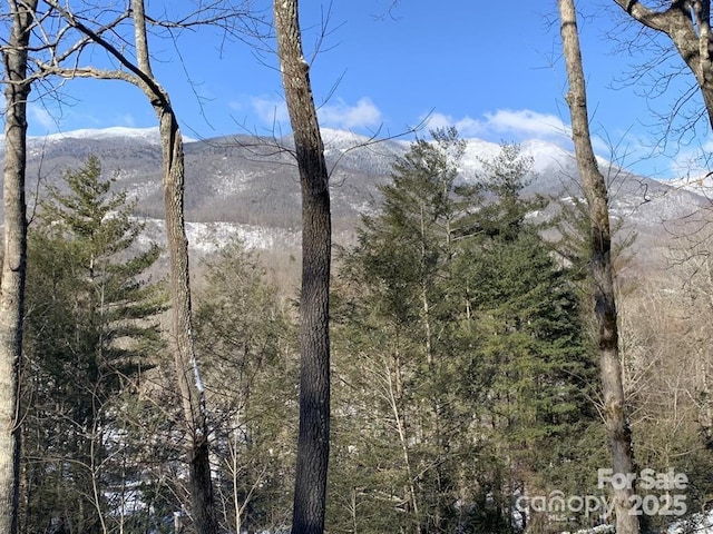 448 Mt Mitchell Dr, Burnsville, NC 28714 - property view of mountains featuring a view of trees