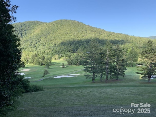 448 Mt Mitchell Dr, Burnsville, NC 28714 - view of community with a forest view, a mountain view, and a yard