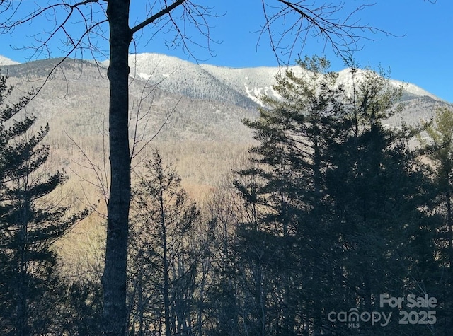 448 Mt Mitchell Dr, Burnsville, NC 28714 - mountain view