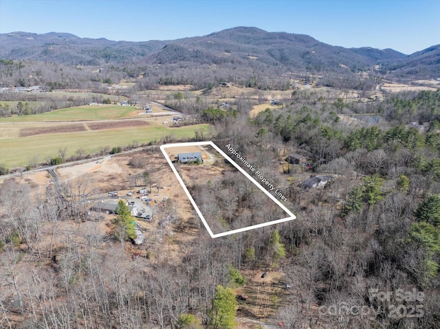 birds eye view of property featuring a mountain view