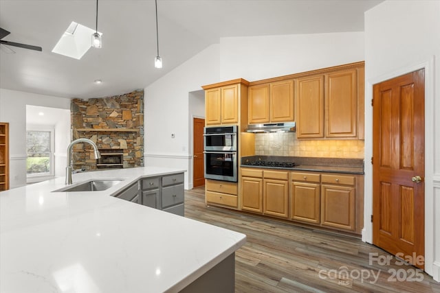 kitchen with wood finished floors, a sink, stainless steel double oven, under cabinet range hood, and backsplash