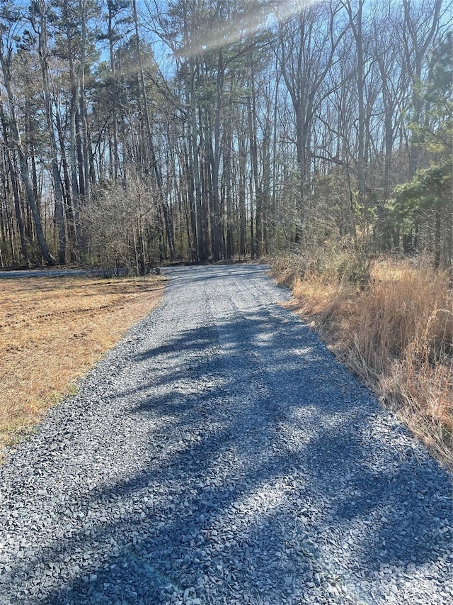 view of street with a wooded view