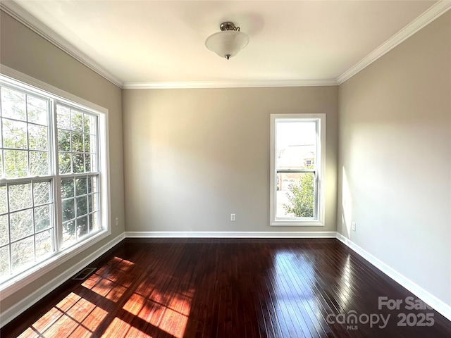 spare room featuring ornamental molding, a wealth of natural light, dark wood finished floors, and baseboards