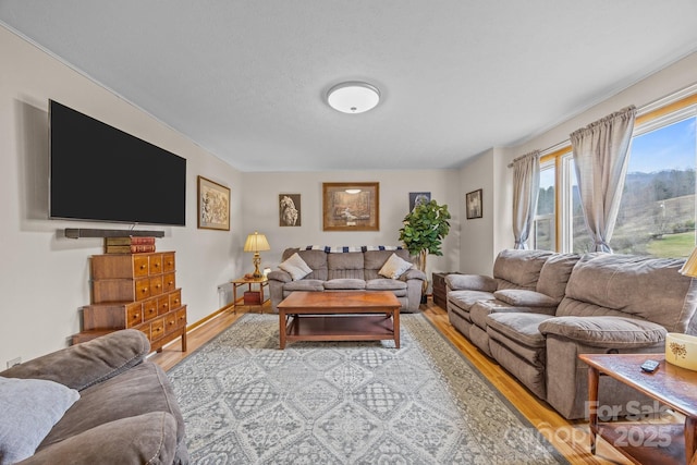 living room featuring wood finished floors and baseboards