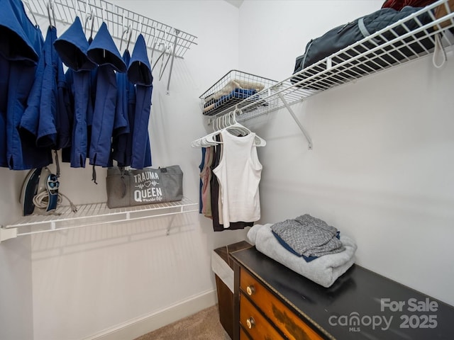 walk in closet featuring carpet flooring