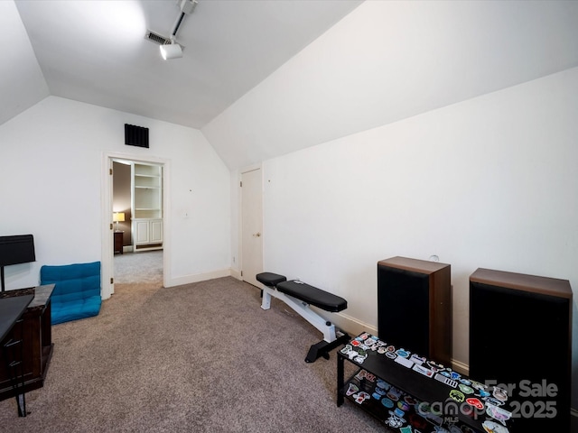 workout area featuring lofted ceiling, carpet floors, rail lighting, and baseboards