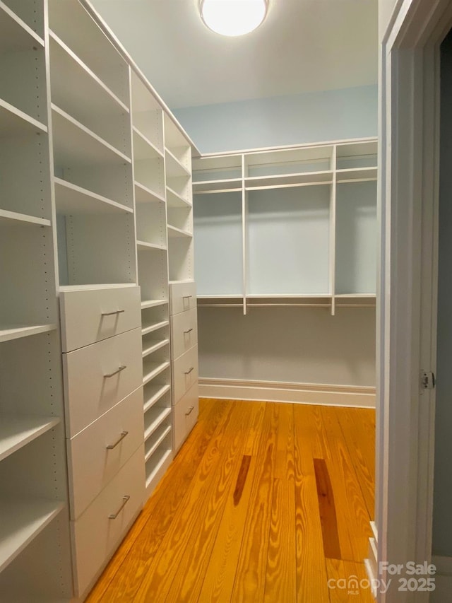 walk in closet with wood finished floors