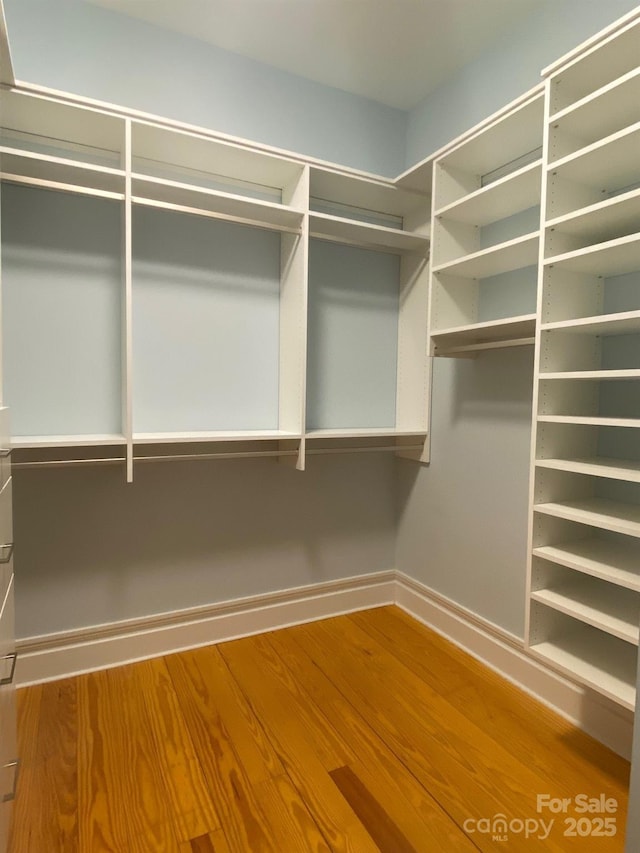 spacious closet featuring wood finished floors