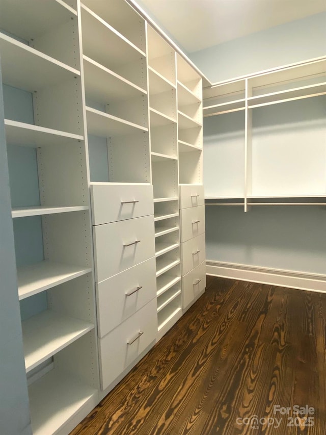 404 N Laurel Ave Unit 28, Charlotte, NC 28204 - walk in closet featuring dark wood-type flooring