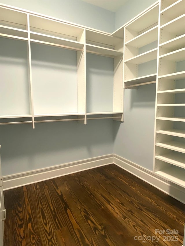 404 N Laurel Ave Unit 28, Charlotte, NC 28204 - walk in closet with dark wood-style flooring