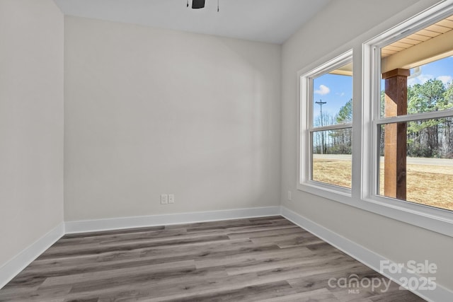 spare room with baseboards, a wealth of natural light, and wood finished floors