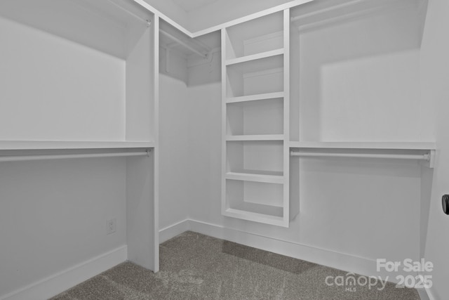 walk in closet featuring carpet